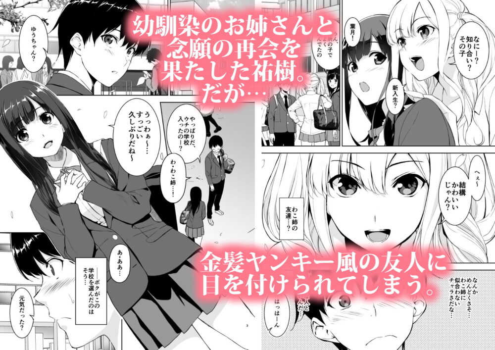清楚な姉が好きなのにビッチと【裏FMO】wnacgやHitomi配信ある?無料rawも!